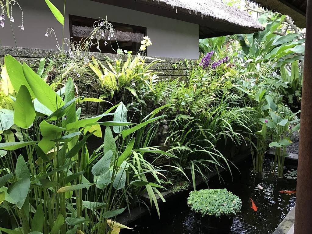 Bali Villa Aja Семиняк Екстериор снимка
